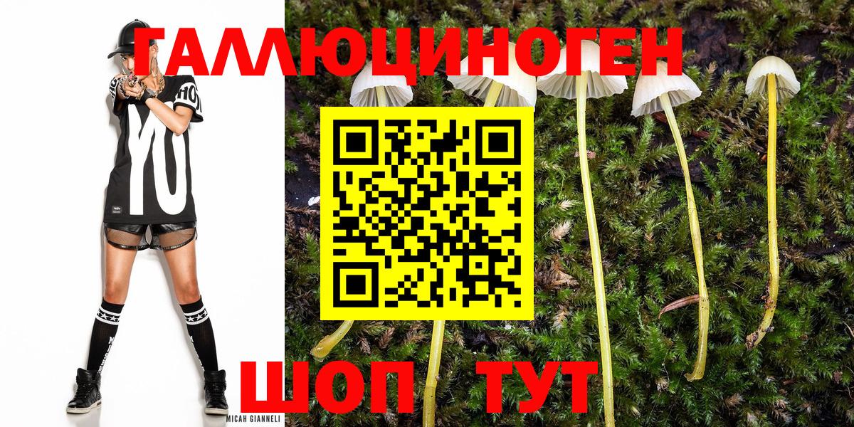 Лангепас  купить наркотики сайты  Вход с VPN  Псилоцибиновые грибы GOLDEN TEACHER  Галлюциногенные грибы Magic Shrooms 